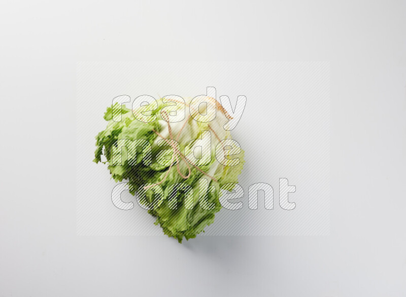 A fresh head of lettuce with green leaves on white background