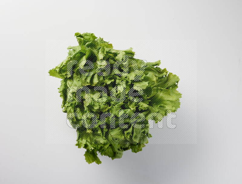 A fresh head of lettuce with green leaves on white background