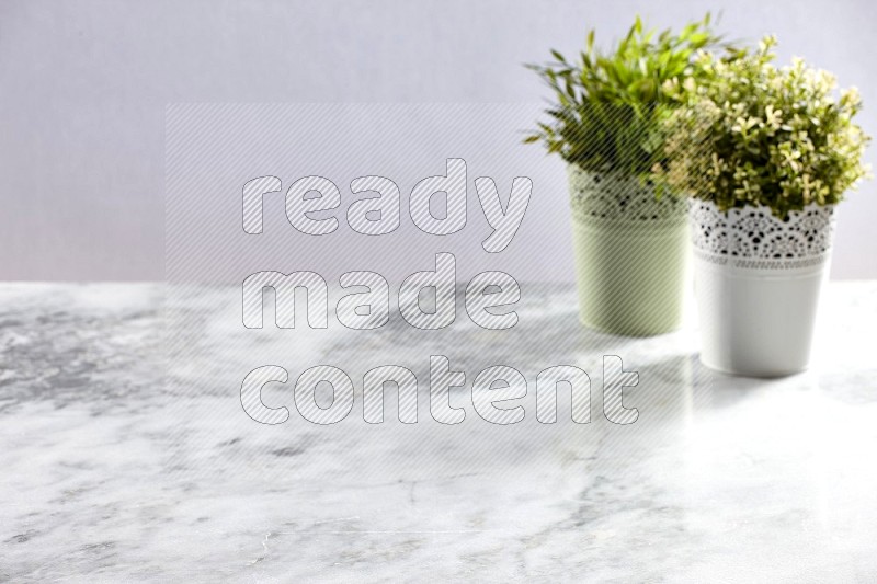 Two different Artificial Plants (out of focus) in white decorative pot on Light Grey Marble Background 45 degree angle