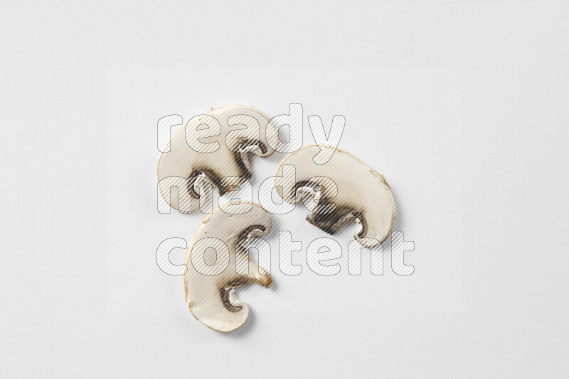 Mushrooms on white background