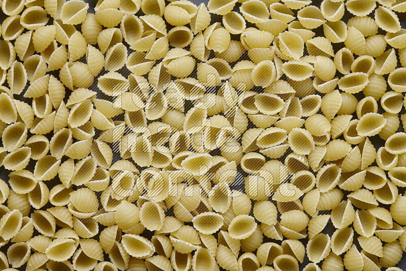 Shells pasta on grey background
