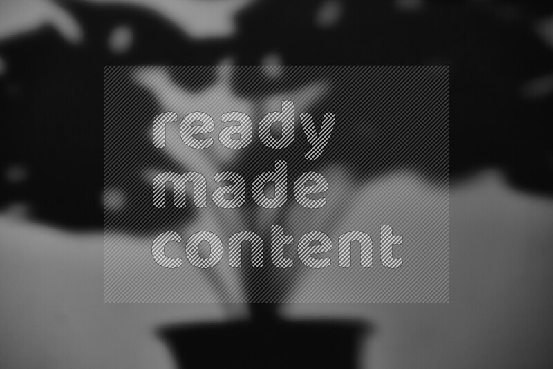 يظهر ضوء غوبو خافت ظلال أوراق نبات تسقط على سطح ناعم