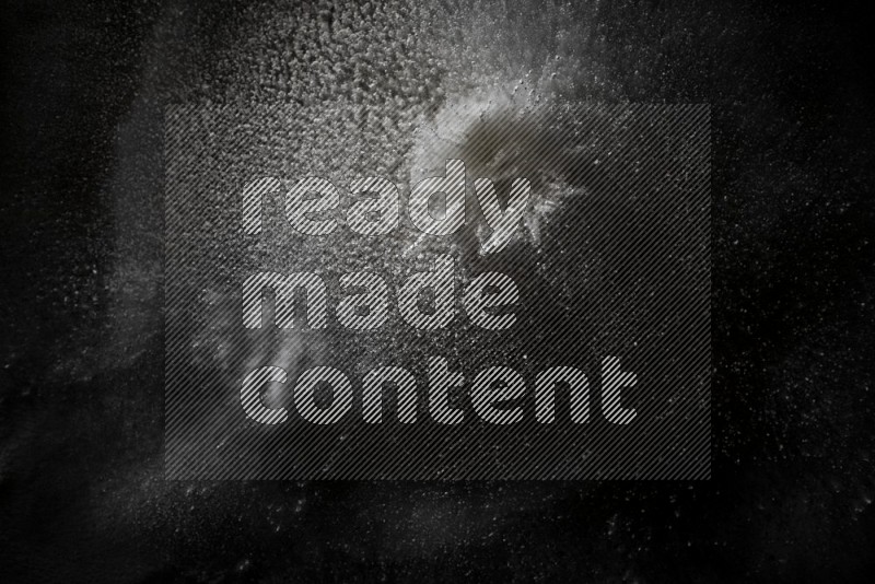 White powder explosion on black background