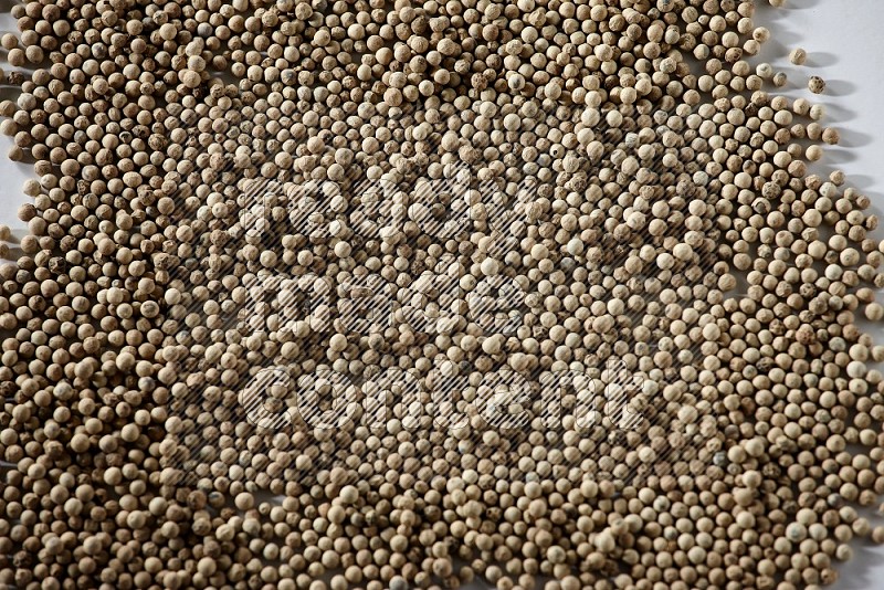 White pepper on white flooring