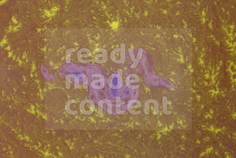 تظهر الصورة أشكال مختلفة من تداخلات اللون الأرجواني والأصفر