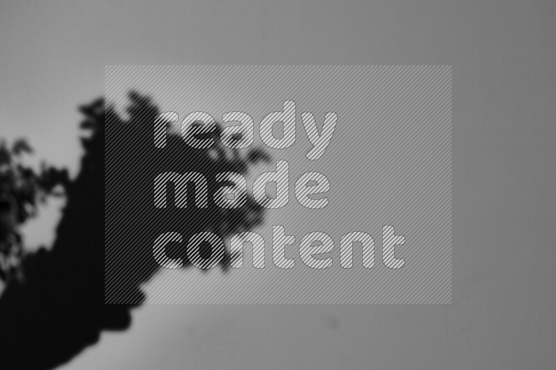 يظهر ضوء غوبو خافت ظلال أوراق نبات تسقط على سطح ناعم