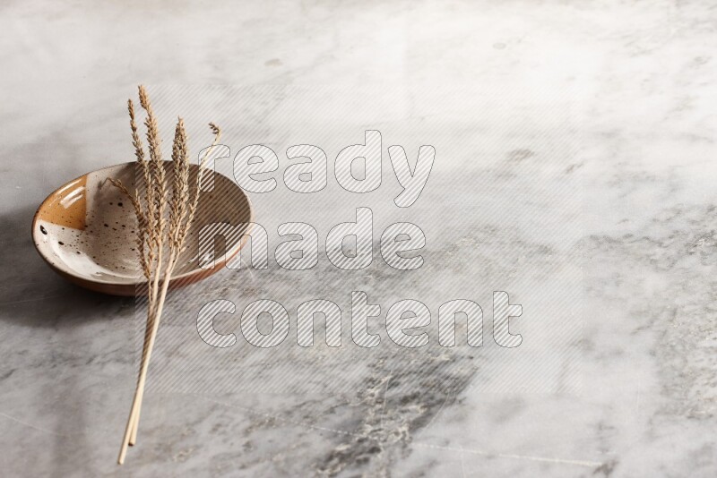 Wheat stalks on multicolored pottery plate on grey marble background