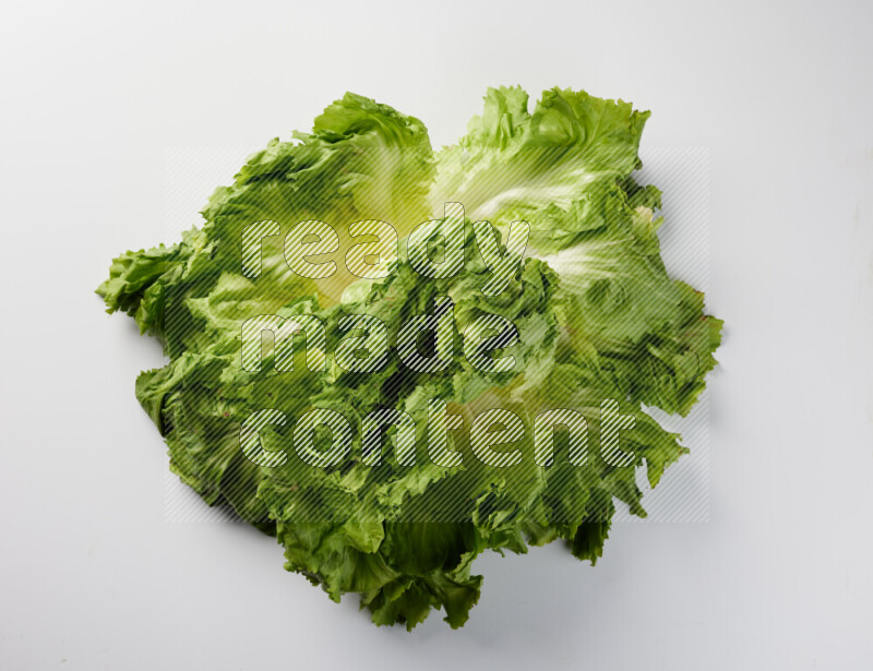 A fresh head of lettuce with green leaves on white background