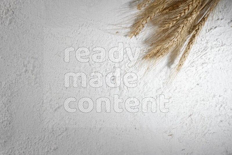 Wheat stalks on flour
