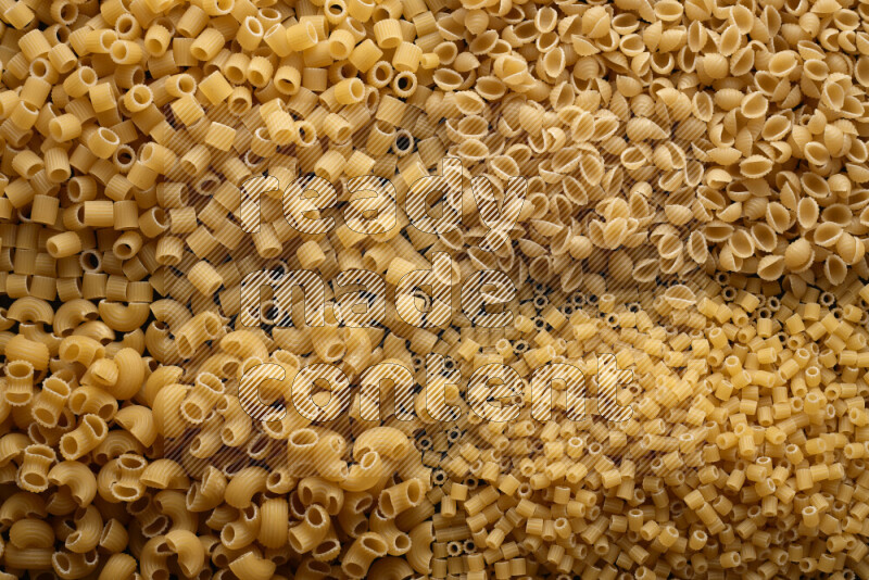 4 types of pasta filling the frame