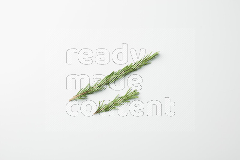 Two fresh rosemary sprigs on white background