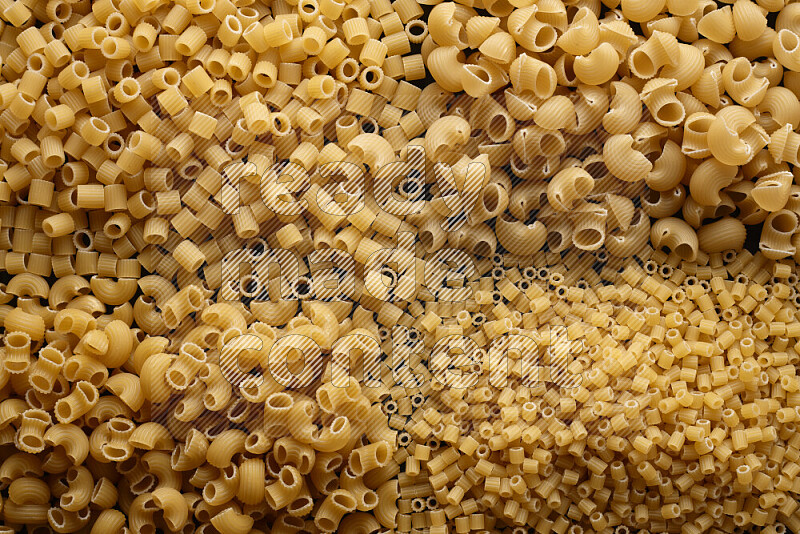 4 types of pasta filling the frame