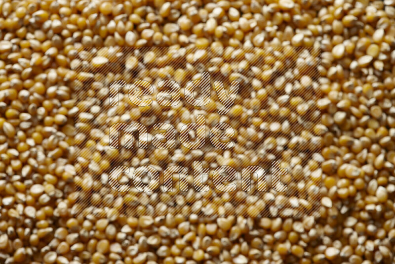 Out of focus dry corn kernels filling the frame