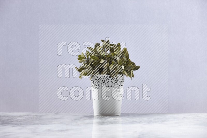 Green artificial plant in white decorative pot on grey marble background
