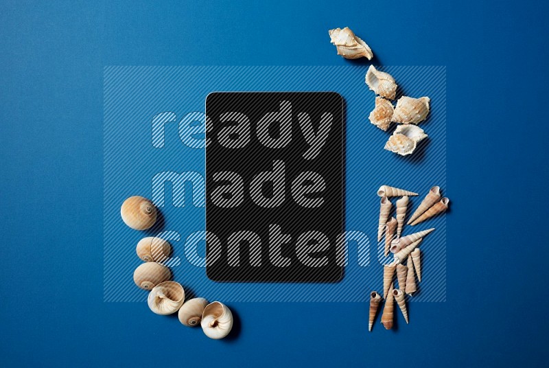 top view shot of a tablet, and seashells on blue background