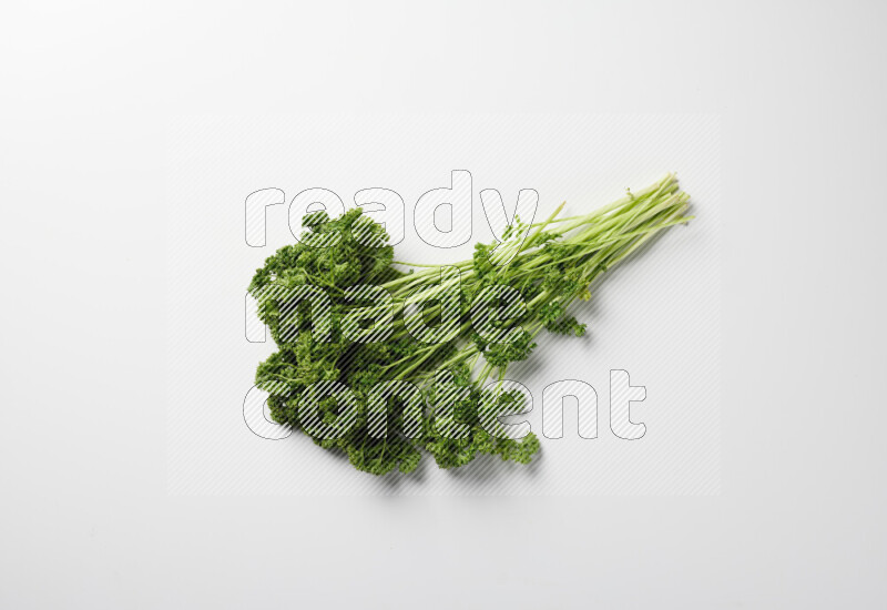 A bunch of fresh curly lettuce sprigs on a white background