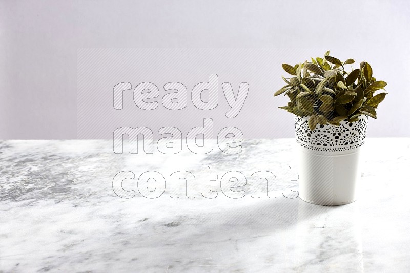 Artificial Plant in White Decorative Pot on Light Grey Marble Background 45 degree angle