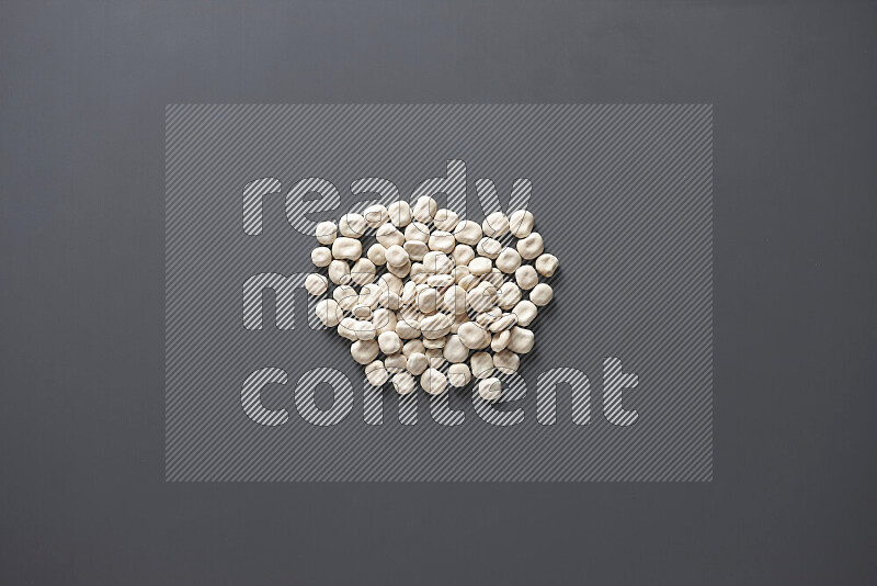 Lupin Beans on grey background
