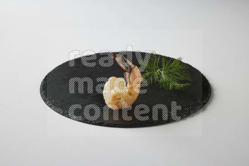 one  grilled shrimp  on a black slate direct  on a white back ground