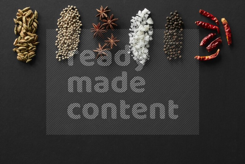 Cardamom, white pepper, star anise, salt, black pepper and chilis lined on a Black background