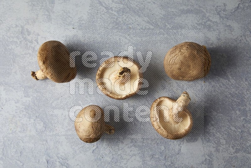 fresh shiitake Mushrooms topview on a light blue textured background