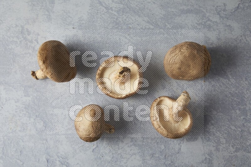 fresh shiitake Mushrooms topview on a light blue textured background