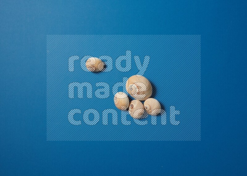 top view shot of seashells arrangement on blue background