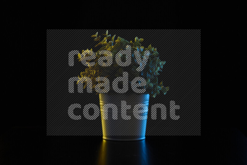 Plastic potted plant with colored rim light against black background