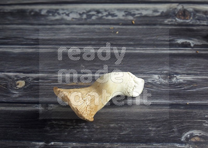 45 degree one king oysters mushrooms on a textured grey wooden background