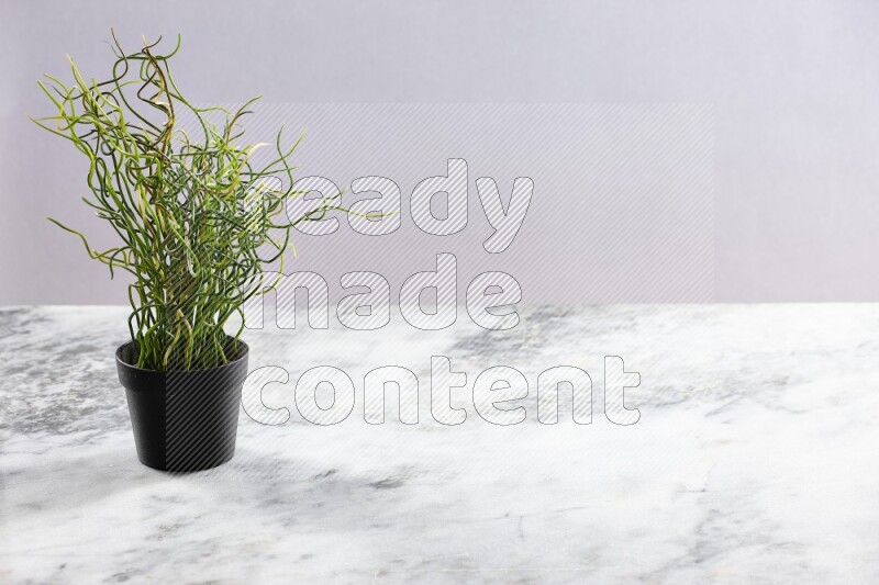 Green artificial plant in black pot on grey marble background