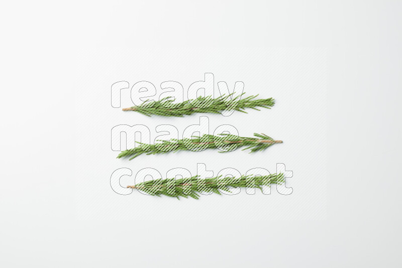 Three fresh rosemary sprigs on white background