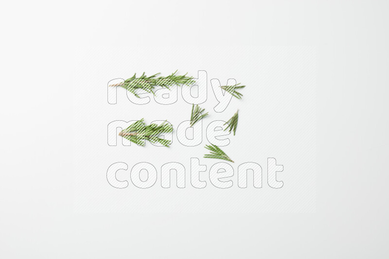 Multi fresh rosemary sprigs on white background