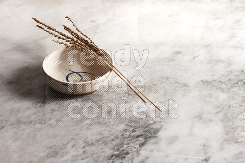 Wheat stalks on Multicolored Pottery Bowl on grey marble flooring, 45 degree angle