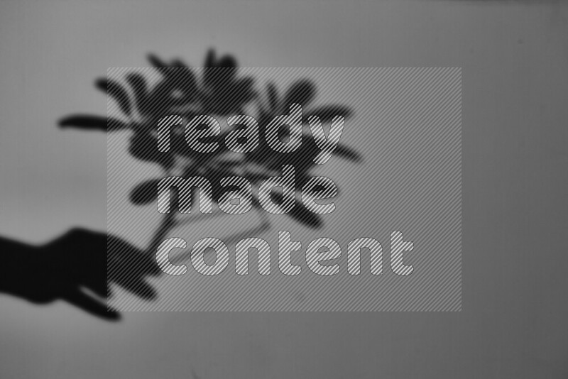 يظهر ضوء غوبو خافت ظلال أوراق نبات تسقط على سطح ناعم