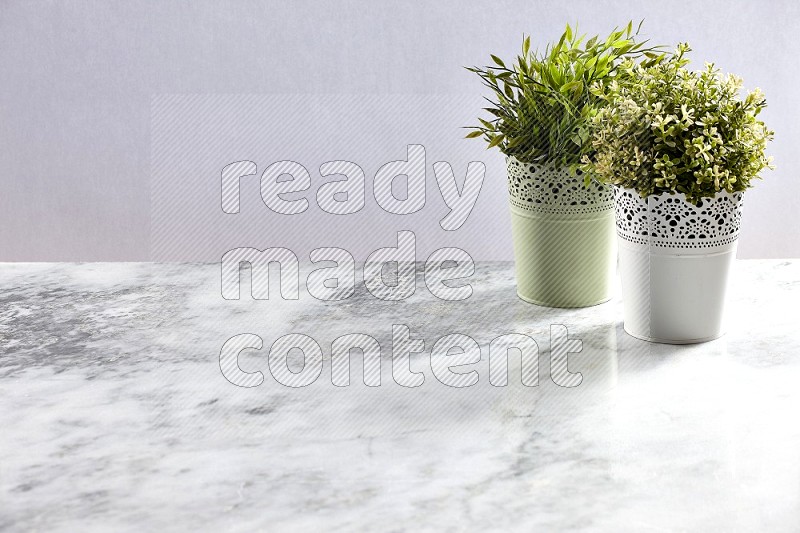 Two different Artificial Plants in white decorative pot on Light Grey Marble Background 45 degree angle