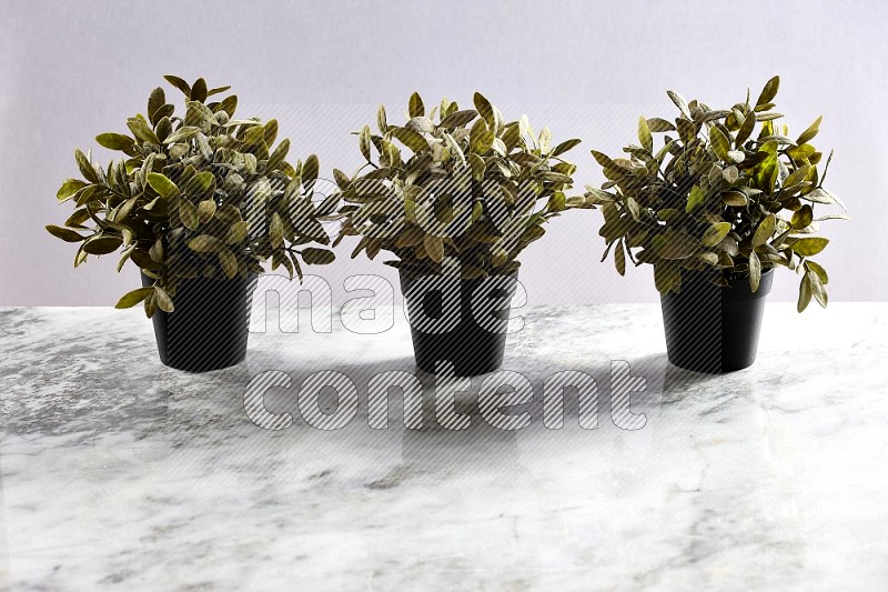 Multiable Artificial Plants in black pot on Light Grey Marble Background 45 degree angle