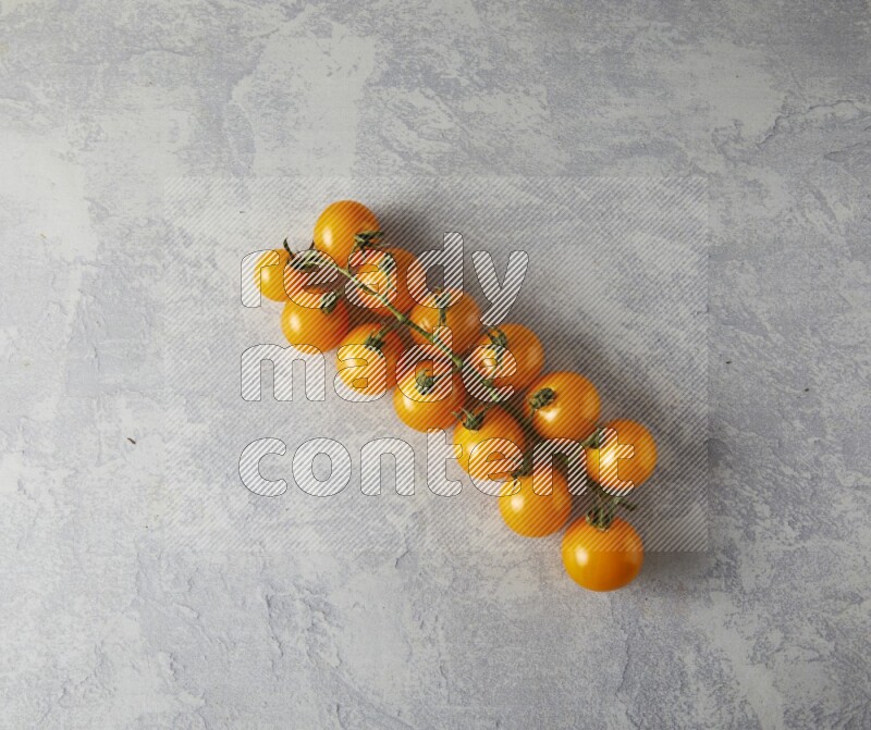 Single cherry Tomato vein topview on a light blue background