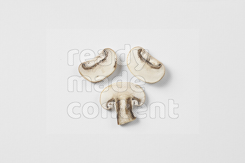 Mushrooms on white background