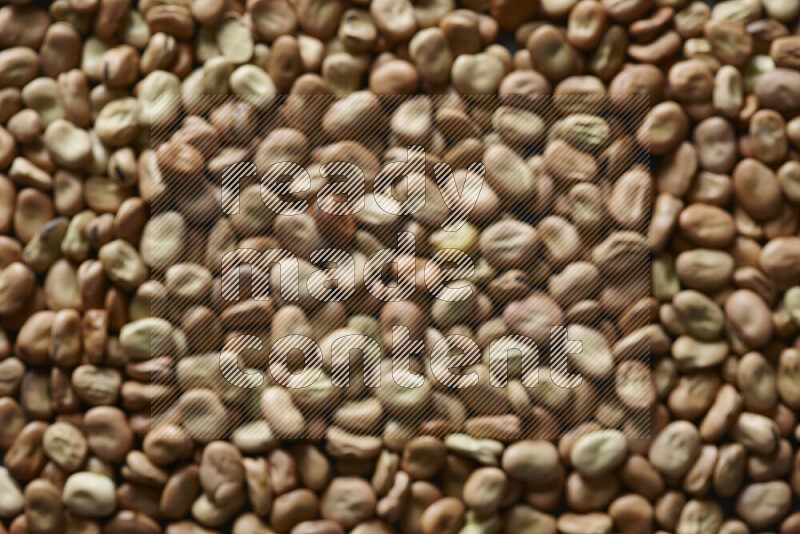Out of focus fava beans filling the frame