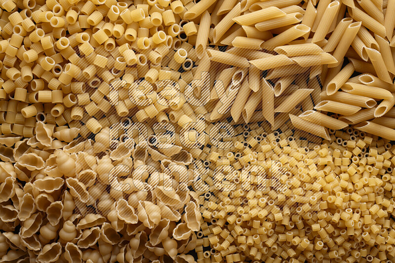 4 types of pasta filling the frame