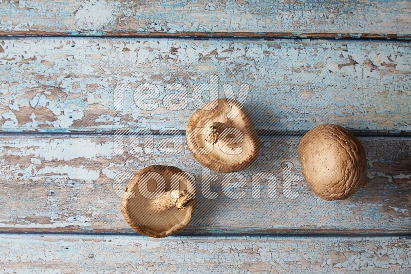 fresh shiitake Mushrooms topview on a light blue wooden textured background