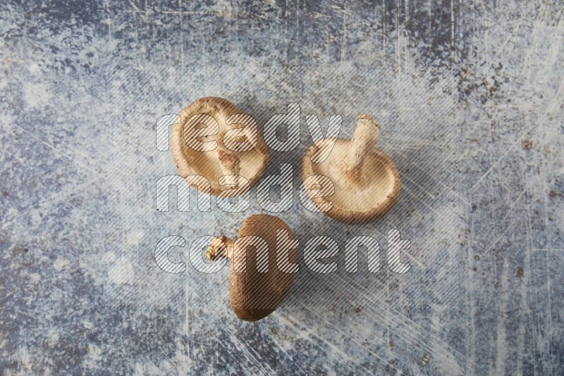 group of fresh shiitake Mushrooms topview on a blue textured background