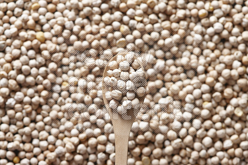 A wooden spoon full of chickpeas on chickpeas background