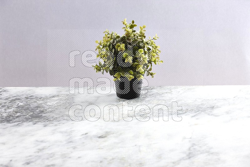 Artificial Plant in black pot on Light Grey Marble Background 45 degree angle
