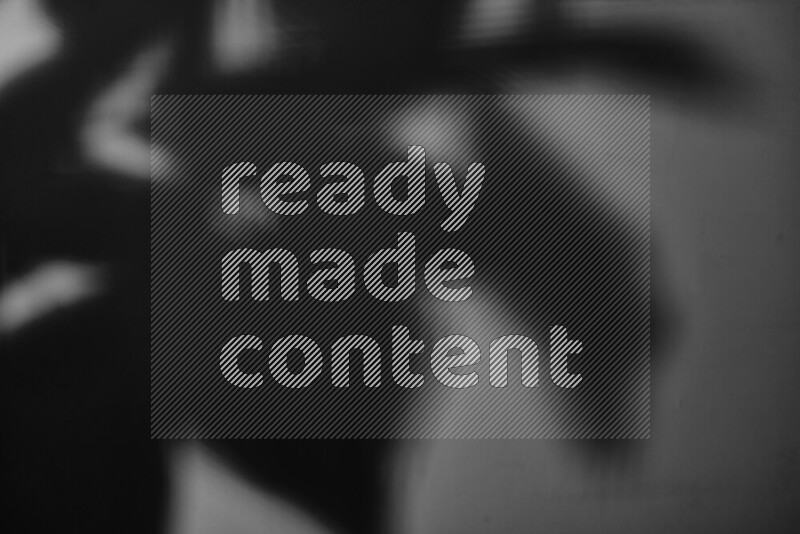 يظهر ضوء غوبو خافت ظلال أوراق نبات تسقط على سطح ناعم