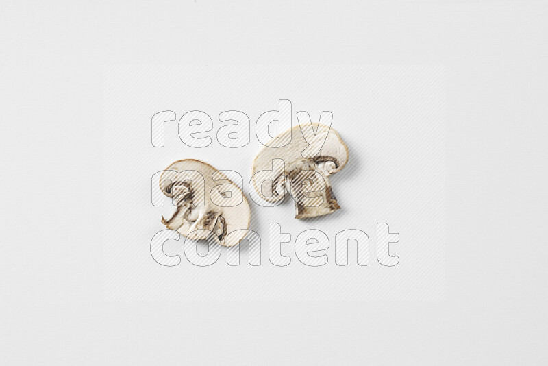 Mushrooms on white background