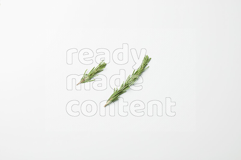 Two fresh rosemary sprigs on white background