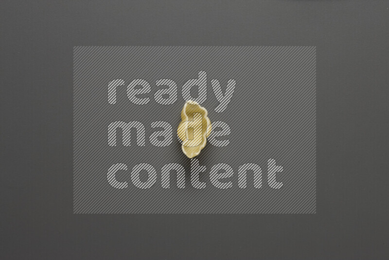 معكرونة قواقع علي خلفية رمادية