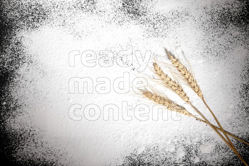 Wheat stalks on flour