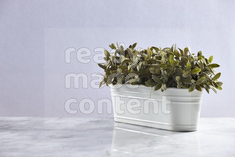 Multiple green artificial plants in white pot on grey marble background
